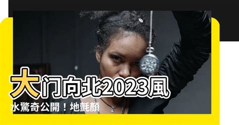 大門地氈顏色2023|【大門地氈顏色 2023】快收藏！2023兔年招財好運就靠大門地氈。